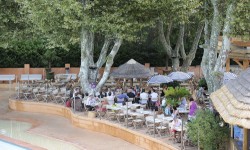 terrasse-palmeraie